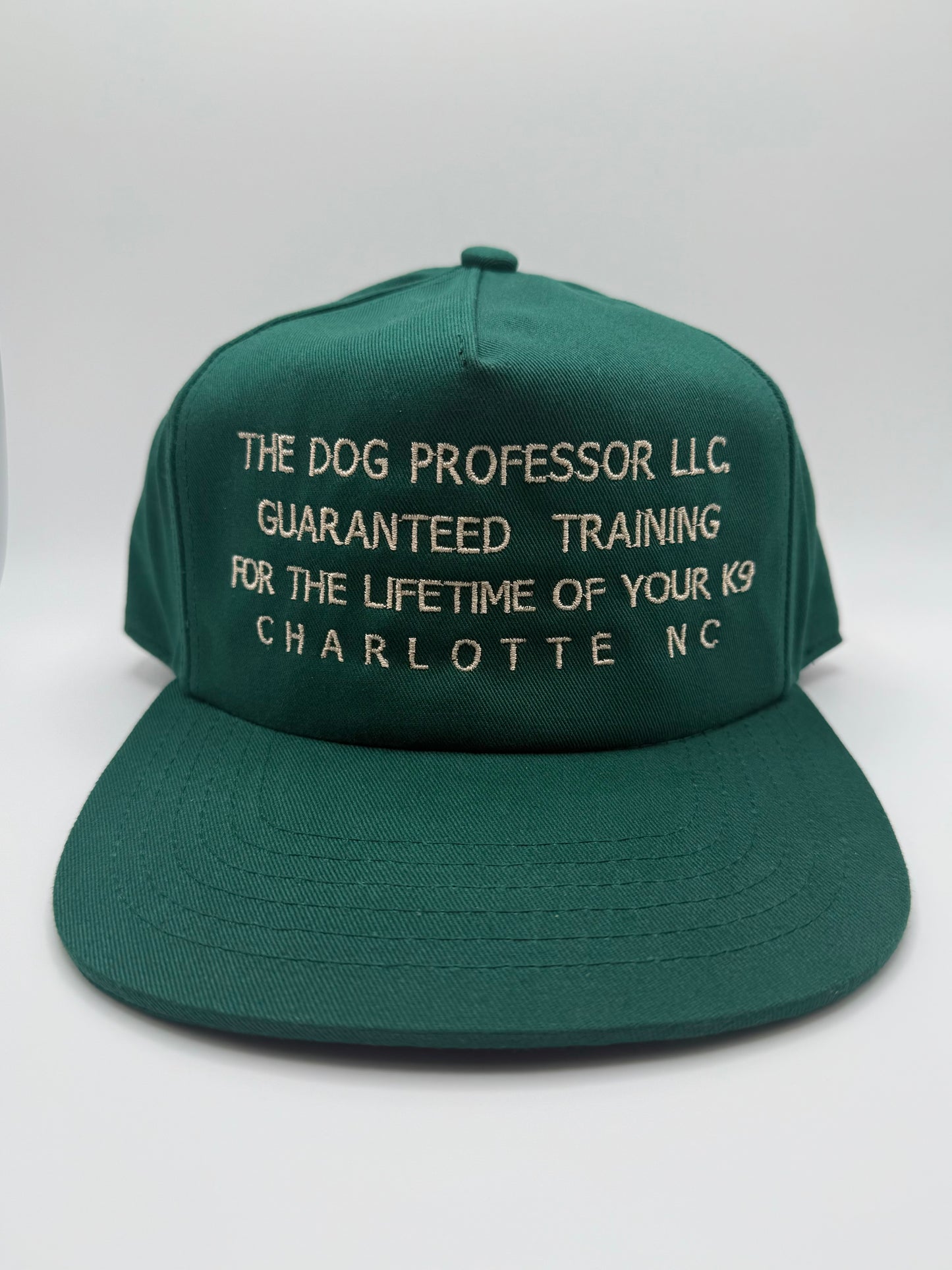 The Dog Professor